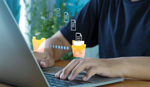 Aplicaciones y programas informáticos 28.2